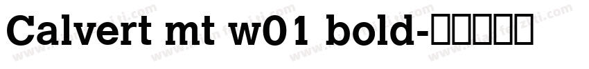 Calvert mt w01 bold字体转换
